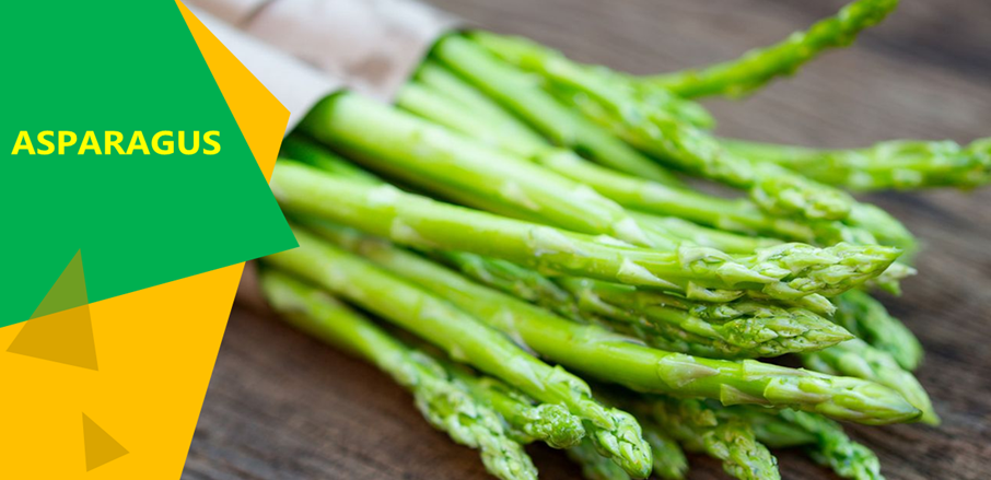 Khasiat Tanaman Asparagus untuk Diet